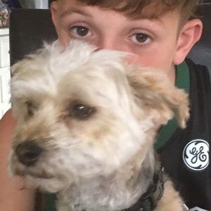 Meet your Posher, Levi